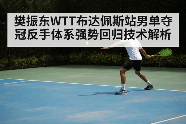 樊振东WTT布达佩斯站男单夺冠反手体系强势回归技术解析